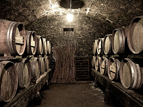 istock Vintage wine cellar with old wooden kegs 155076695