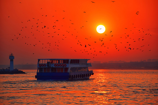 Boat Tour in Istanbul at Sunset. Sea voyage to Bosporus on the ferryboat. Silhouettes of turkish steamboat in Istanbul with birds at sunset.