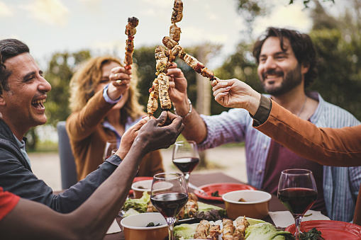 A group of people in their 30s and 40s sitting at a garden table, holding meat skewers and toasting. Focus on skewers. Mixed ethnicity, including a young African person. Trees in the background.