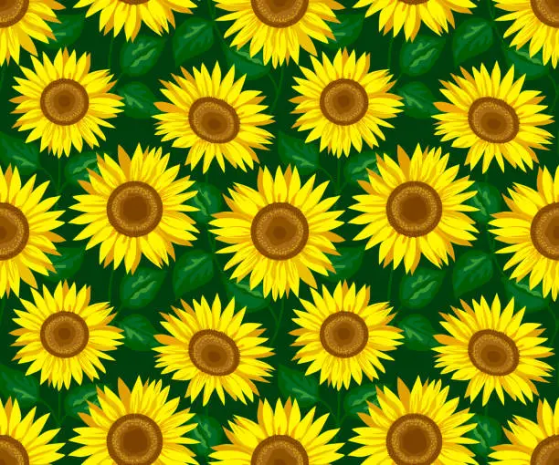 Vector illustration of Sunflower seamless pattern on a dark green background. Decorative cute floral vector illustration. Print fabric design