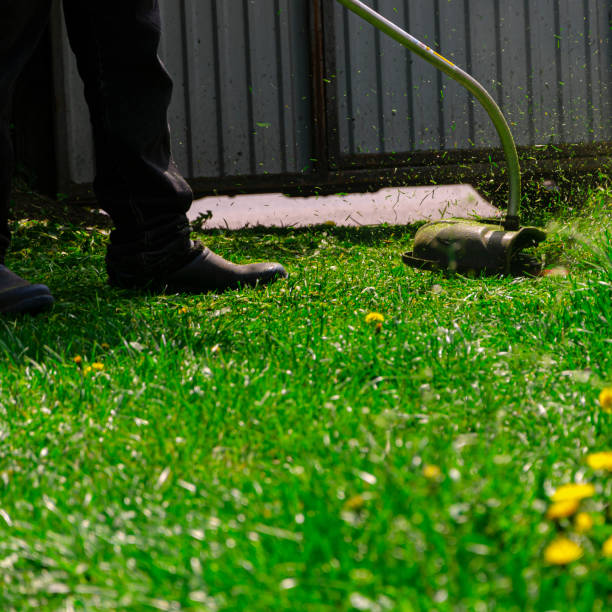 istock Garden work concept background. Mowing the grass with a lawn mower. Garden work concept background. 1550811565