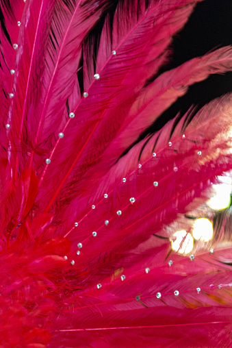 A close-up image of the plumage used in carnaval costumes