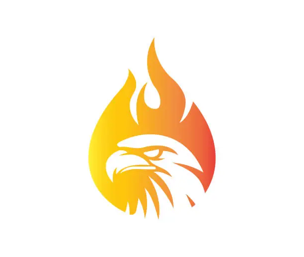 Vector illustration of Bird head and fireball logo design, fire flame vector icon stock illustration