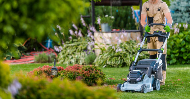 istock Gardener Worker Trimming Grass Using Electric Mower 1550854344