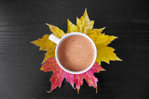 Hot chocolate with marshmallows and autumn leaves