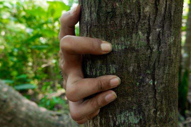 istock A hand clawed and gripped a tree in the forest. 1550870852