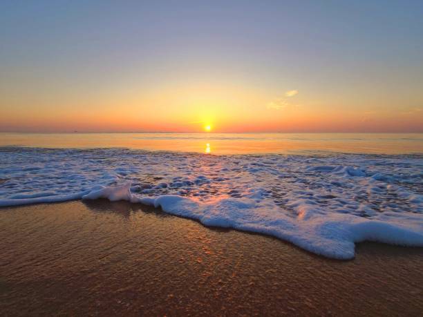 istock Freedom of the Ocean 1550898163