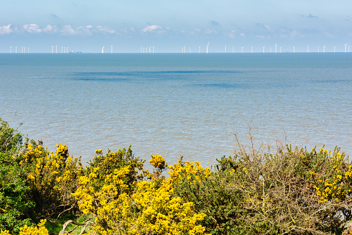 Wind Farm in Kent, England viewed from the coastal path between Reculver and Herne Bay
