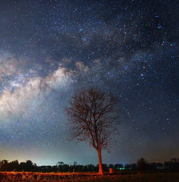 istock Thailand milkyway pictures 1550921988