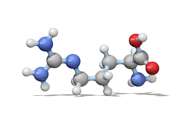 アミノ酸 arginine - arginine ストックフォトと画像