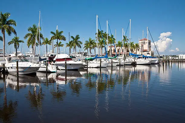 Boats docked at a marina with palm trees in the background. Outdoor recreation in the tropics. Space for copy.