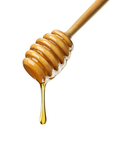 Close-up of organic honey dripping off a wooden honey dipper against a white background. Shot with H4D-40.