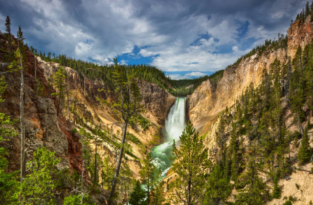 Yellowstone Falls stock photo