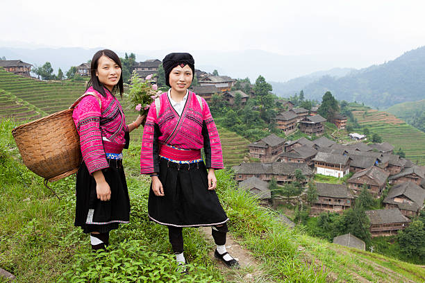 istock Yao Girls Working at Rice Paddy 155095774