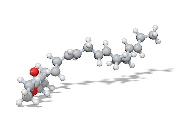 ómega - 3 de ácidos pessoas essenciais do modelo - fatty acid imagens e fotografias de stock