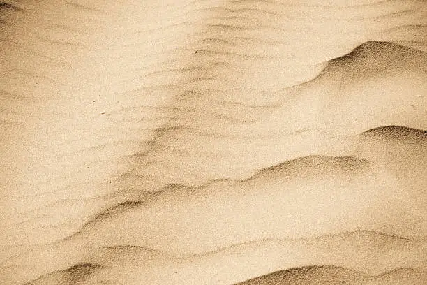 Photo of Beach Sand