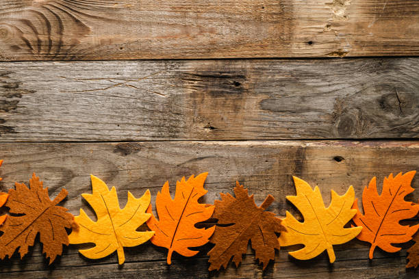 istock Autumn wooden background with colored felt leaves. 1550959172
