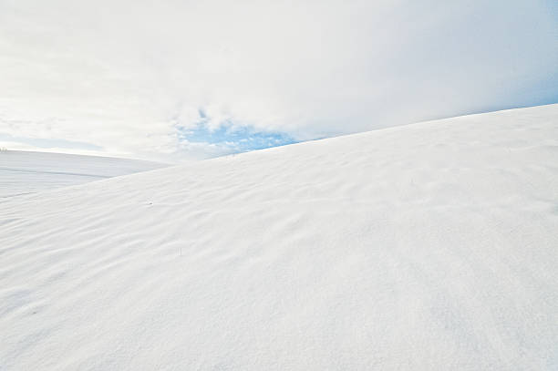 первый снег зимой - shropshire blue стоковые фото и изображения