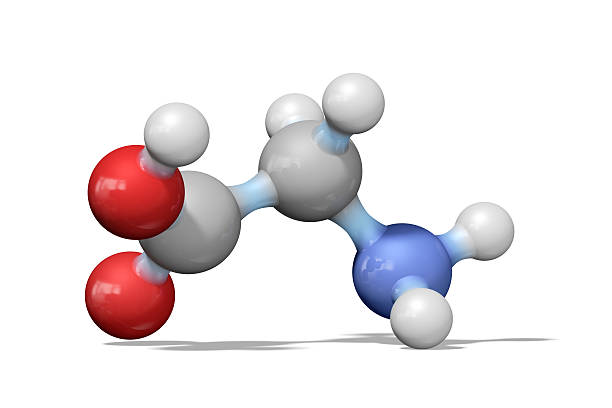 Understanding the Chemical Structure: From Glycine to Guanidine Acetic Acid combat creatine
