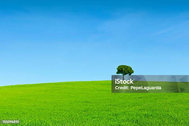 春の風景lonely Tree - カラー画像のストックフォトや画像を多数ご用意 - カラー画像, 丘, 人物なし