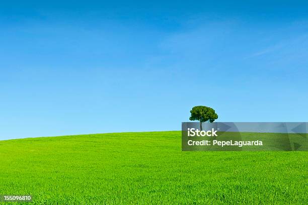 Wiosnę Krajobraz Samotny Drzewo - zdjęcia stockowe i więcej obrazów Bez ludzi - Bez ludzi, Bezchmurne niebo, Drzewo