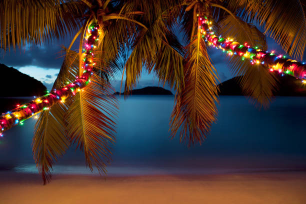 natale sulla spiaggia caraibica - christmas palm tree island christmas lights foto e immagini stock