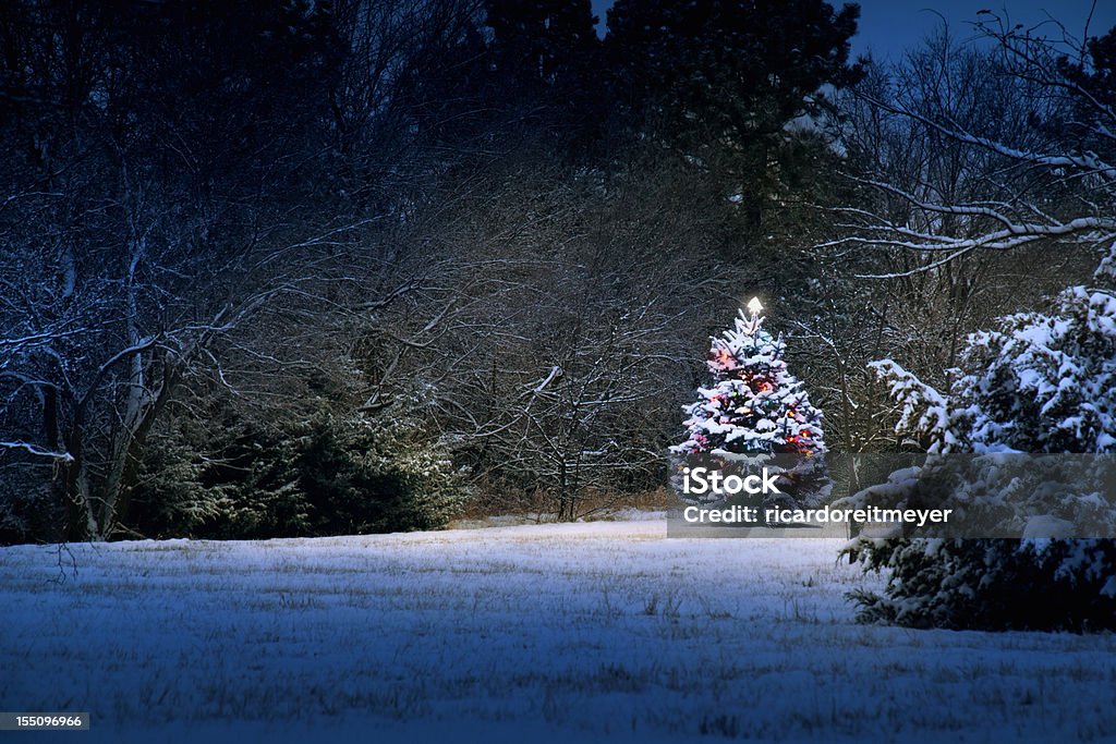 Mágico acender Neve coberta Árvore de Natal - Royalty-free Etéreo Foto de stock