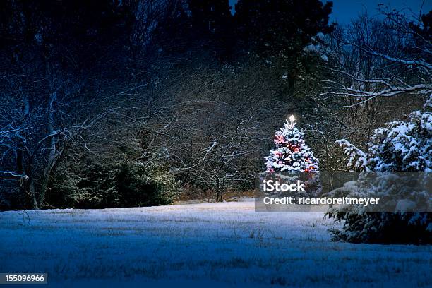 Mágico Acender Neve Coberta Árvore De Natal - Fotografias de stock e mais imagens de Etéreo - Etéreo, Natal, Ao Ar Livre