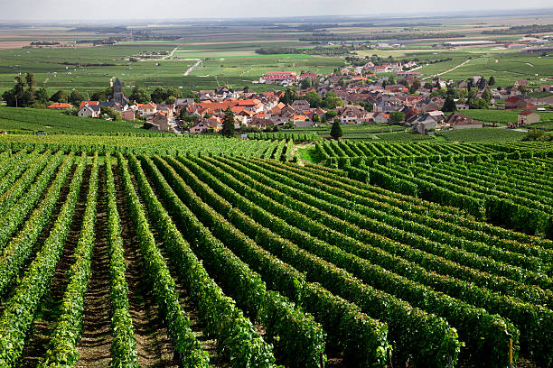 istock Burgundy region 155097104