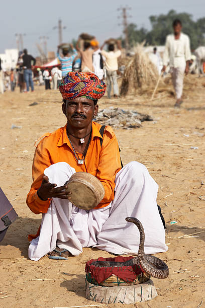 istock Snake charmer in desert  at Pushkar Camel Fair 155097164