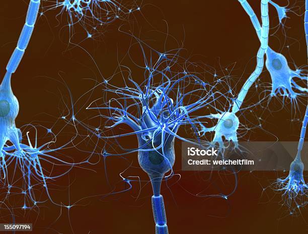 Neuron 걱정하는에 대한 스톡 사진 및 기타 이미지 - 걱정하는, 단일 객체, 불안