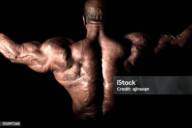 Bodybuilder - Fotografias de stock e mais imagens de Exercitar - Exercitar, Gordo, Homens