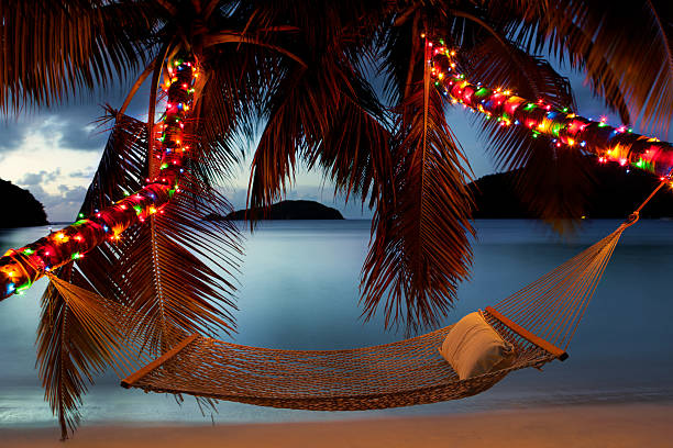 rede entre palmeiras com luzes de natal na praia - christmas palm tree island christmas lights - fotografias e filmes do acervo