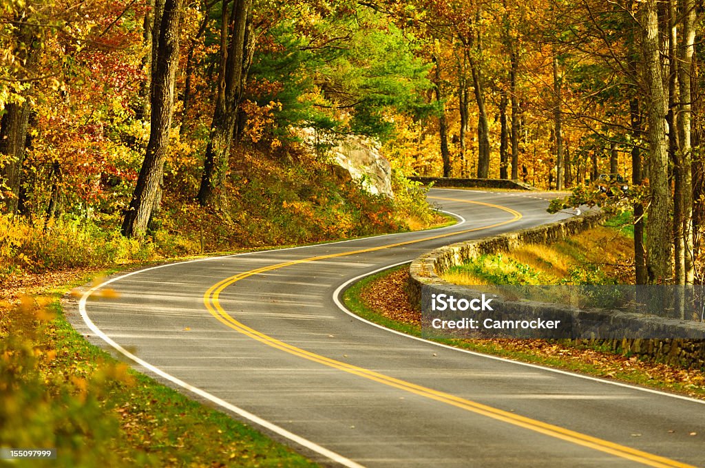 S-Curve Road, Skyline Drive Stan Wirginia - Zbiór zdjęć royalty-free (Jesień)