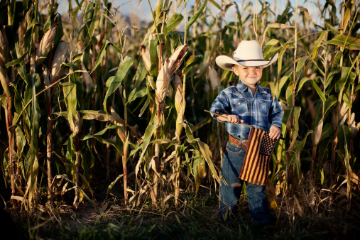 A Future Farmer of America stands in a cornfield  and shows his colors on the Fourth of July.