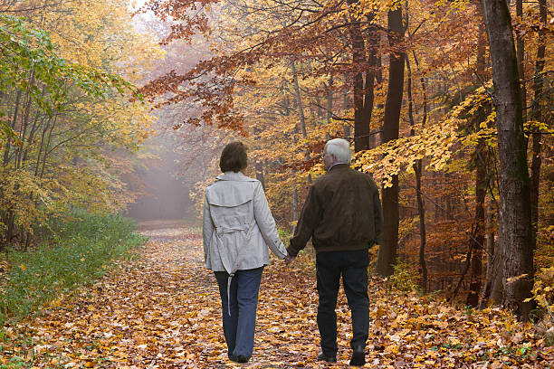 istock Rear view on senior couple walking in autumn forest 155098015