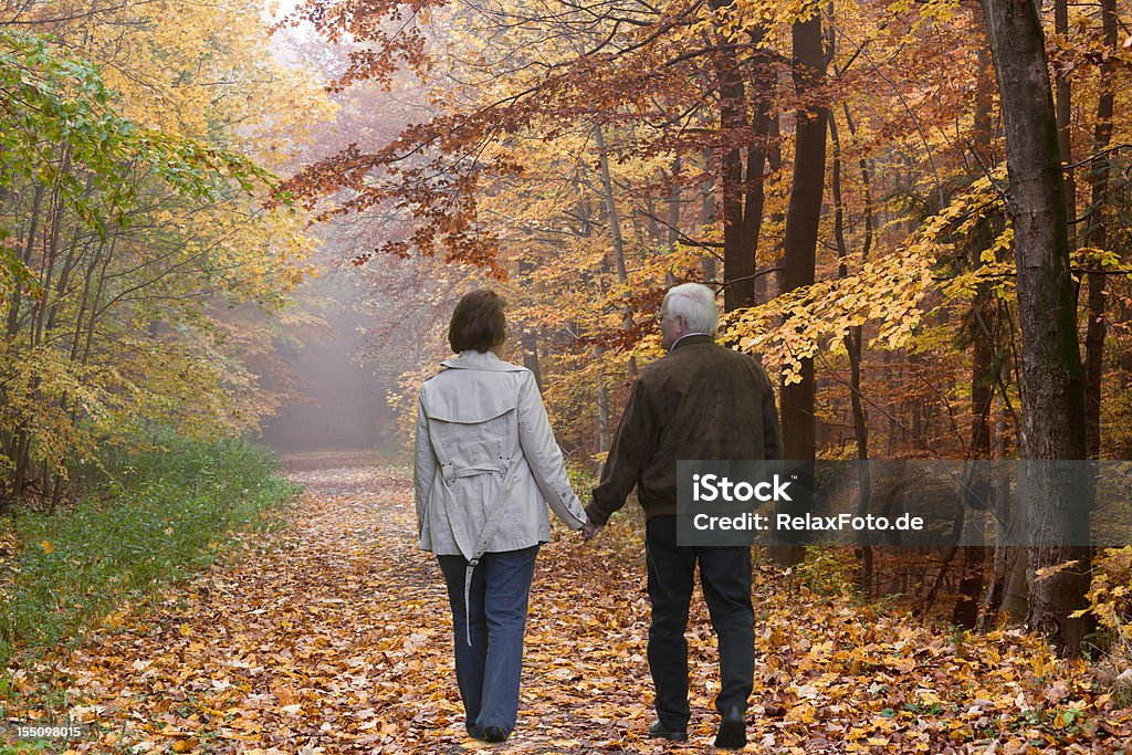 Rear view on senior couple walking in autumn forest Rear view on senior couple walking on footpath in autumn forest. Couple with little motion blur. Senior Couple Stock Photo