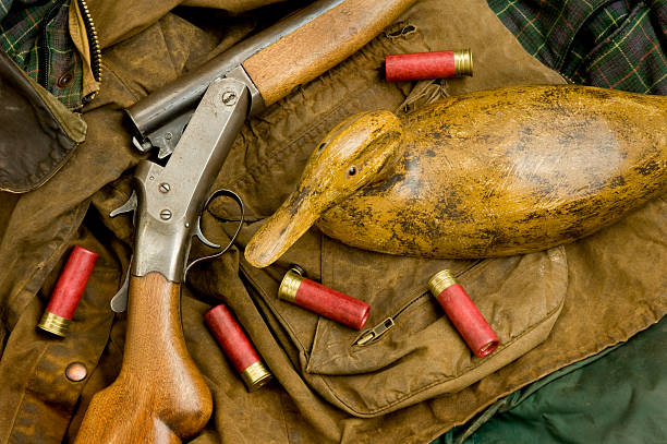 caça ainda vida com decoy e shotgun - decoy - fotografias e filmes do acervo