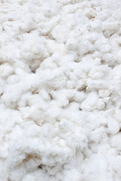 cotone grezzo colture - cotton white textured toiletries foto e immagini stock