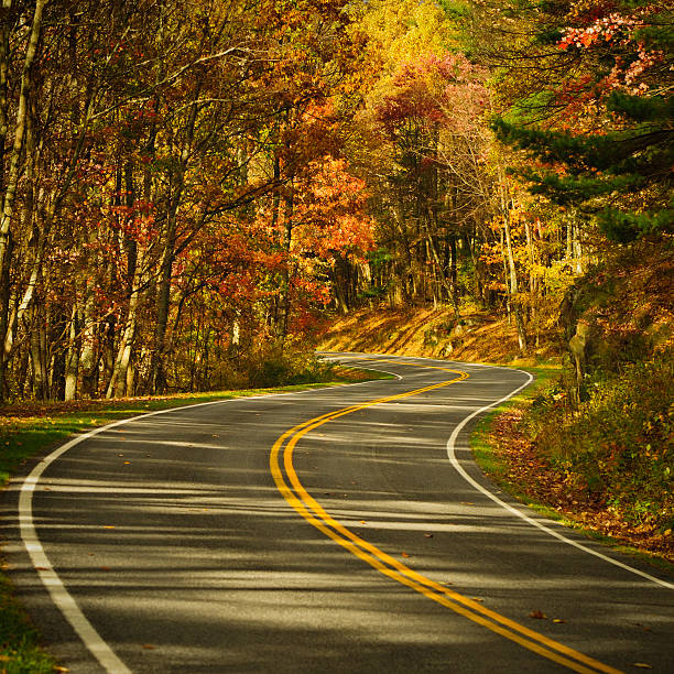 istock S-Curve Road, Skyline Drive Virginia 155098346