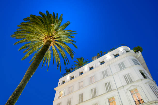 hotel facade and palm tree at sunset in Cannes