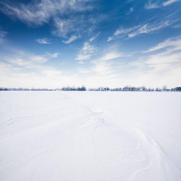 극지 기후 - winter landscape field snow 뉴스 사진 이미지