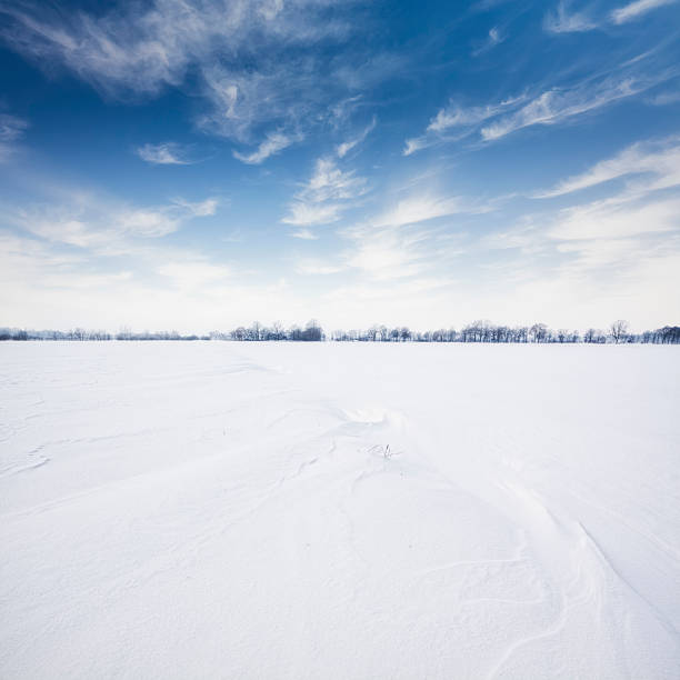 paisagem polar - winter snow landscape field imagens e fotografias de stock