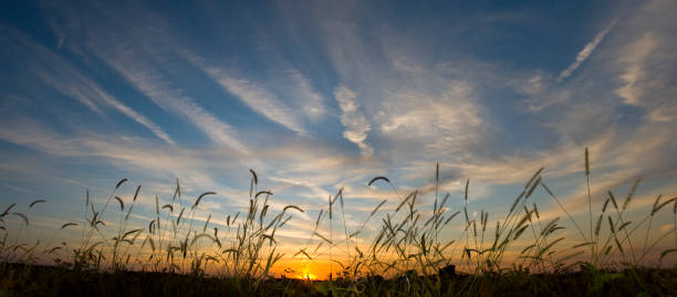istock Sunset over an autumn field 155099526