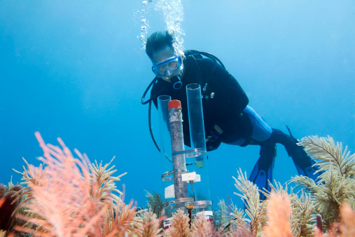 Diver looking at an underwater experiment in the Florida Keys