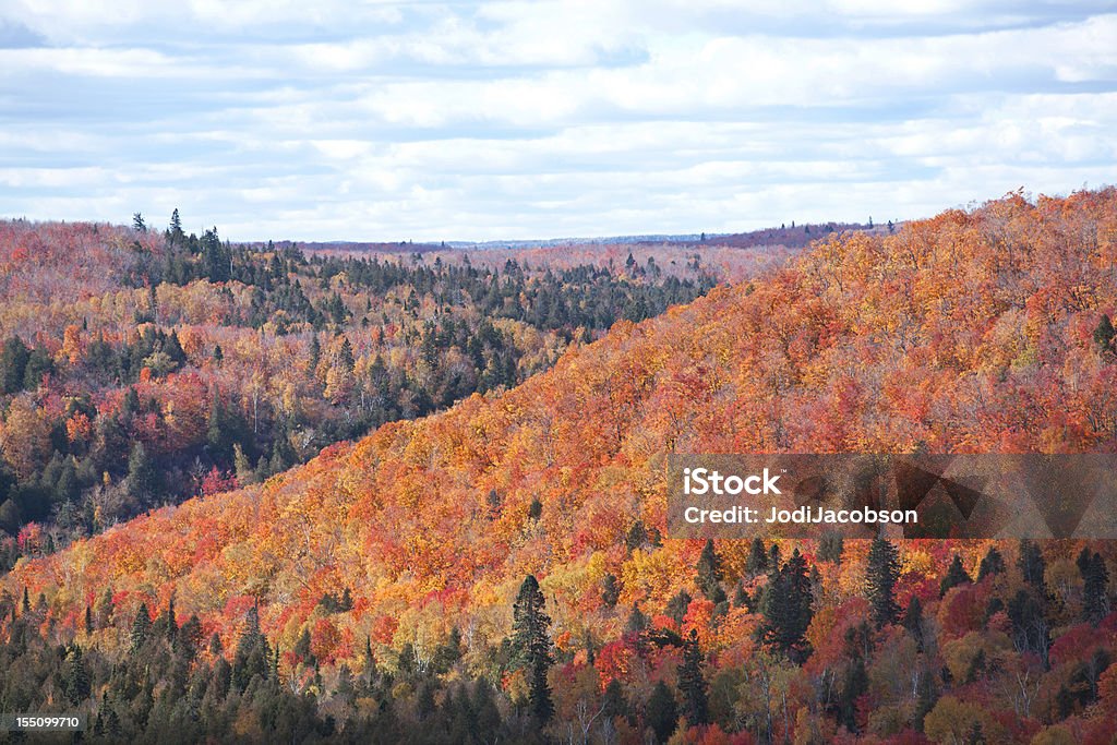 플레이밍 가을맞이 나뭇잎색 - 로열티 프리 미네소타 스톡 사진