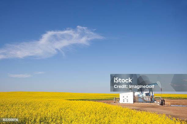 Pumpjack In Canola - Fotografie stock e altre immagini di Canada - Canada, Canola, Pompa di estrazione petrolifera