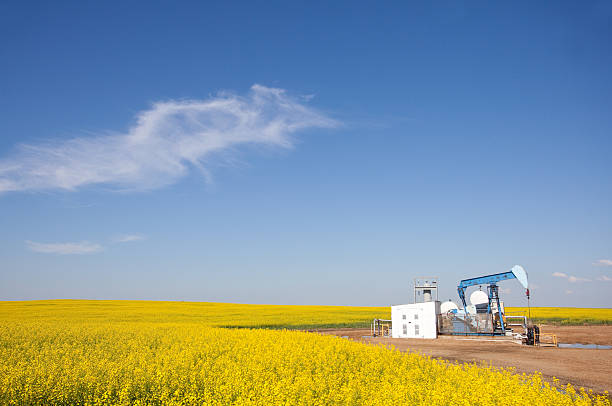 istock Pumpjack in Canola with Alberta Oil Industry 155100016