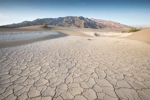 Global warming, drought, lack of rain, no seasonality The land is cracked. concept of environment change and global warming background