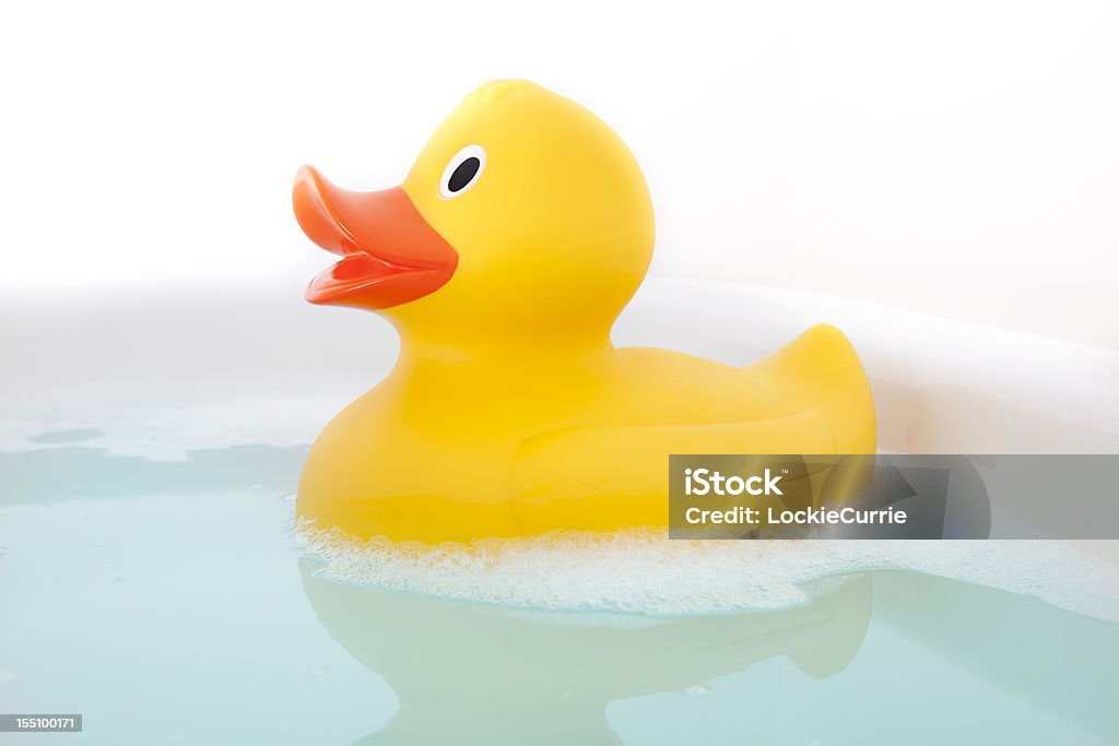 Bathtime  Duck - Bird Stock Photo